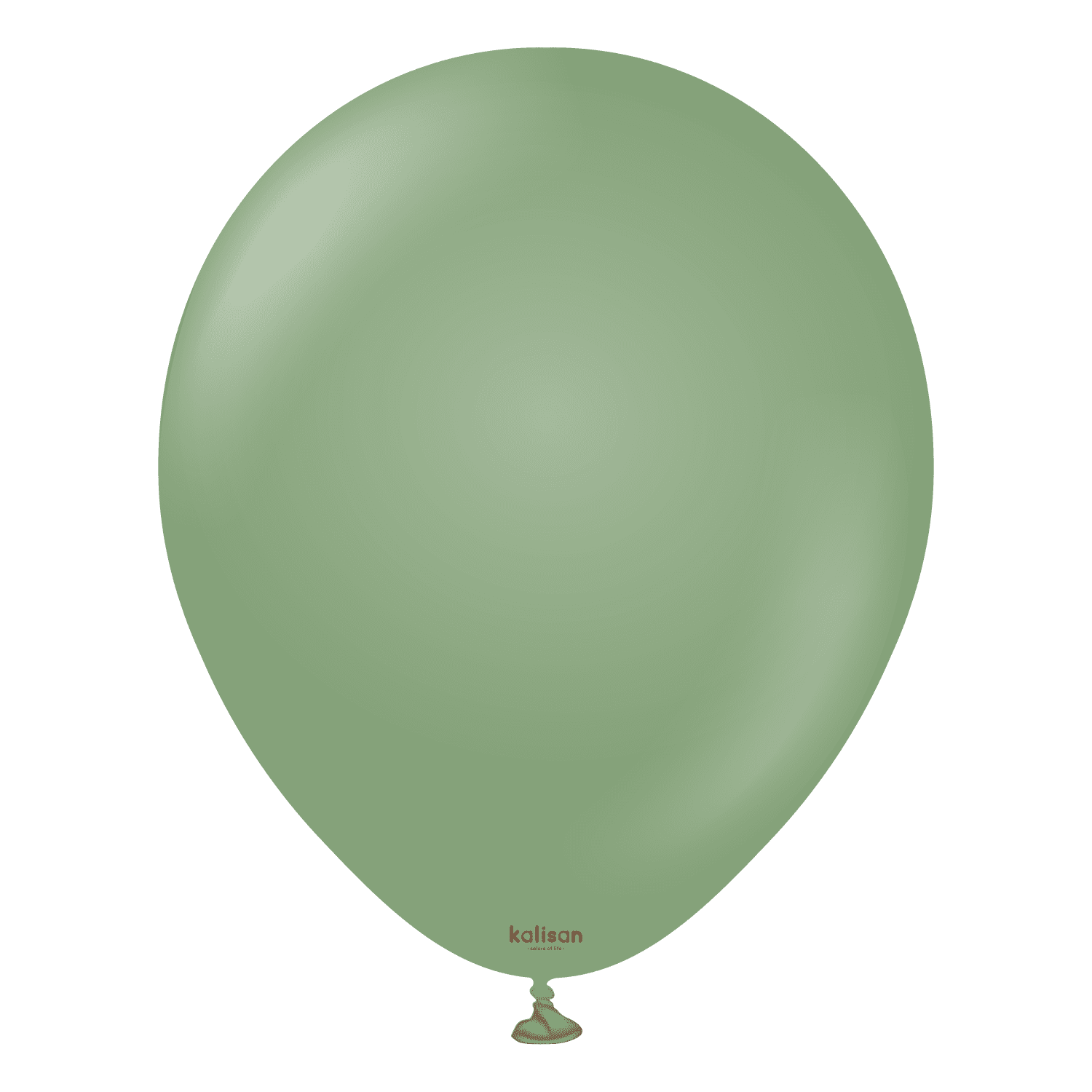 Kalisan Retro Eucalyptus Latex Balloons